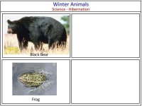 Science for kids – Hibernation Match UP Game