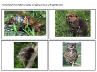 Forest Animals Match Up