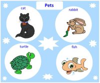 Pets – learn Spanish