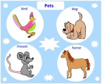 Pets – learn Spanish