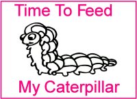 Caterpillar Coloring Book